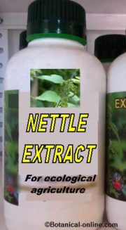 Nettle extract