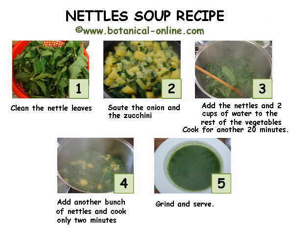nettle soup instructions