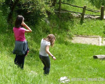 children