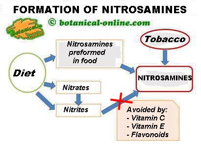Outline of nitrosamine sources