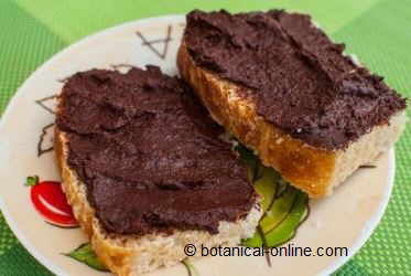 toasts with homemade cacao cream