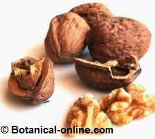 walnuts