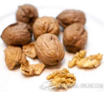 Walnuts