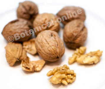 seven walnuts each day to get omega-3