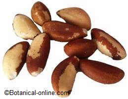 Brazil nuts