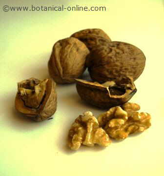 walnuts