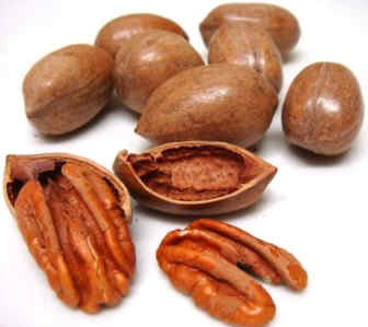 properties of pecans.