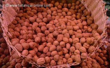walnuts