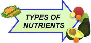 types of nutrients