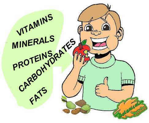 types of nutrients