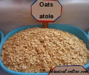 oats for atole