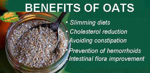 benefits of oats