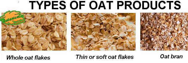 types of oats