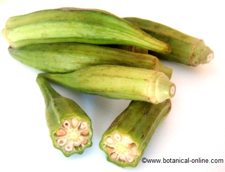 Photo of some okra fruits 