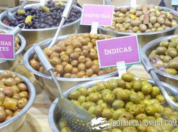 olives market