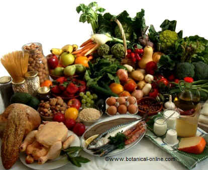Mediterranean diet main foods