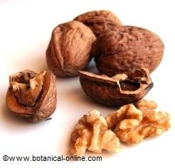 walnuts