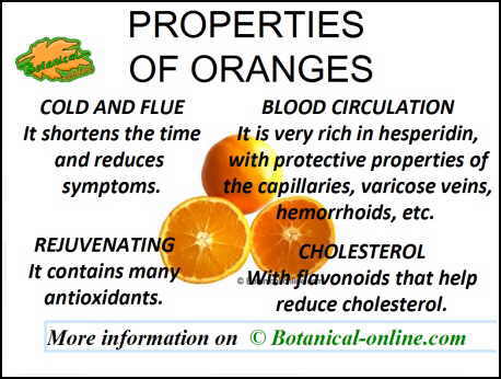 Properties and benefits of oranges