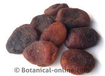 Dried apricots without sulfites