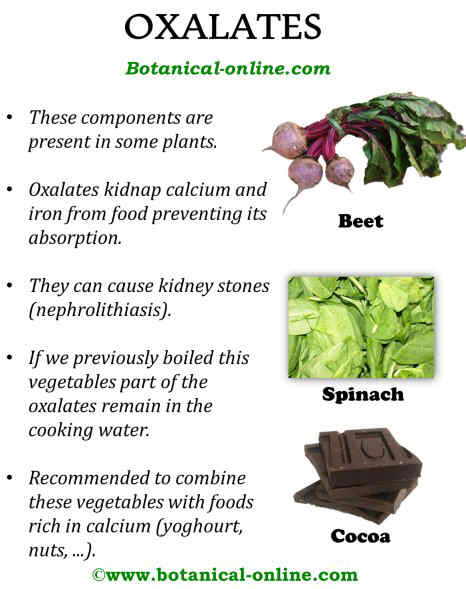 Oxalates