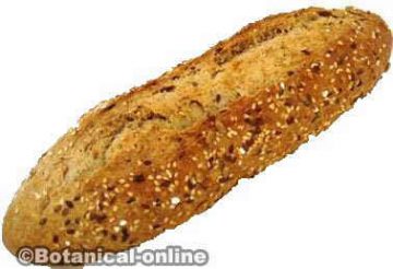 whole grain bread stick