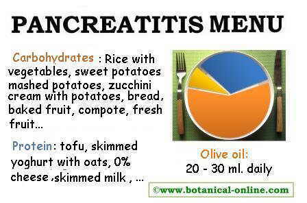 Pancreatitis menu