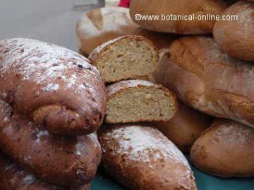 Millet bread