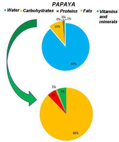 composition of papaya