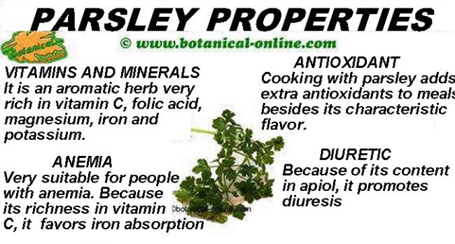 parsley properties