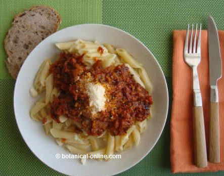 A dish of pasta with tomato sauce