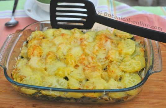 vegetarian baked potato cake