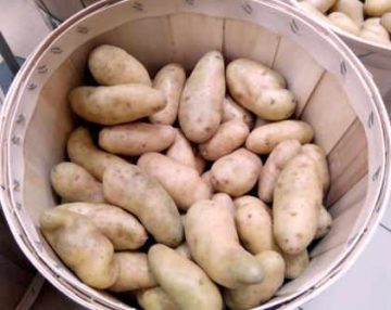 potatoes
