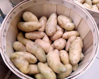 Potatoes