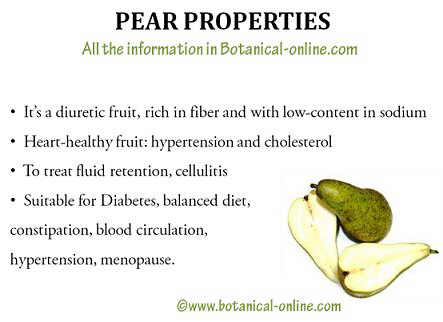 Pear properties