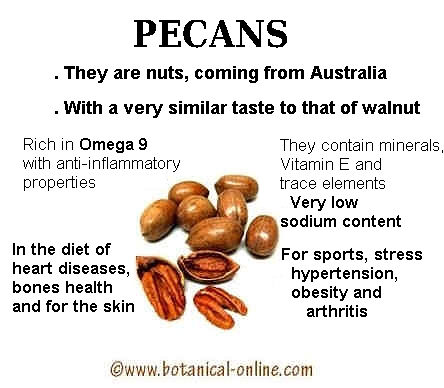 properties of pecans.