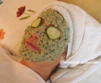 cucumber mask