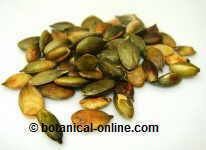 Pumpkin seeds