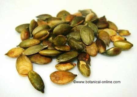 Pumpkin seeds