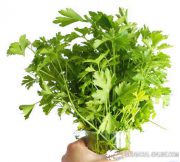 parsley rich in sulfur