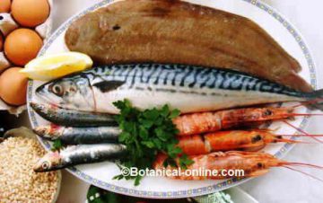 Oily fish and shellfish