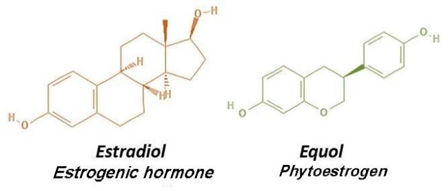 chemical formula phytosterol campesterol and cholesterol