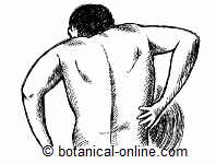 nephritic colic pain