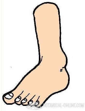 diabetes foot