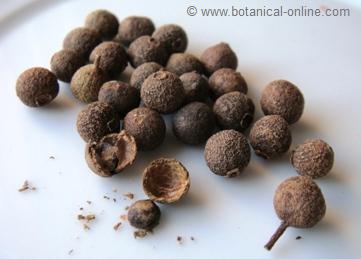 Jamaica peppercorns