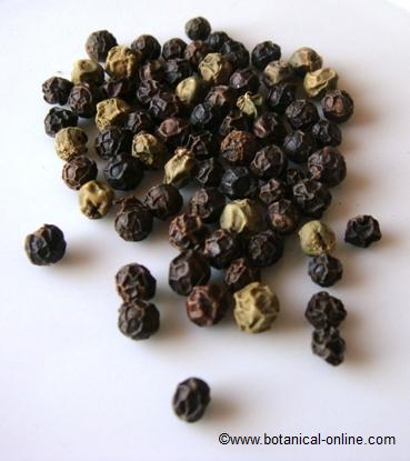 black pepper fruits