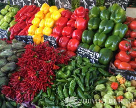 peppers in a market