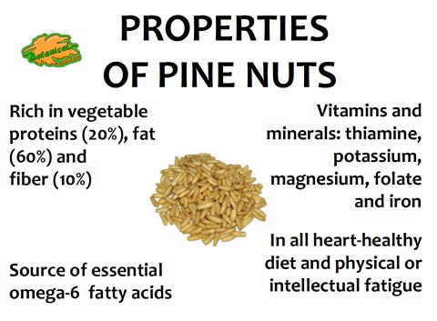 Some of the main properties of pine-nut