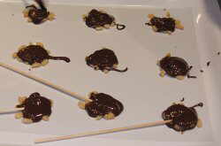 chocolate lollipops