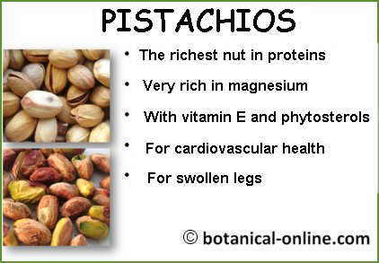 properties of pistachios