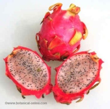 Dragon fruit 